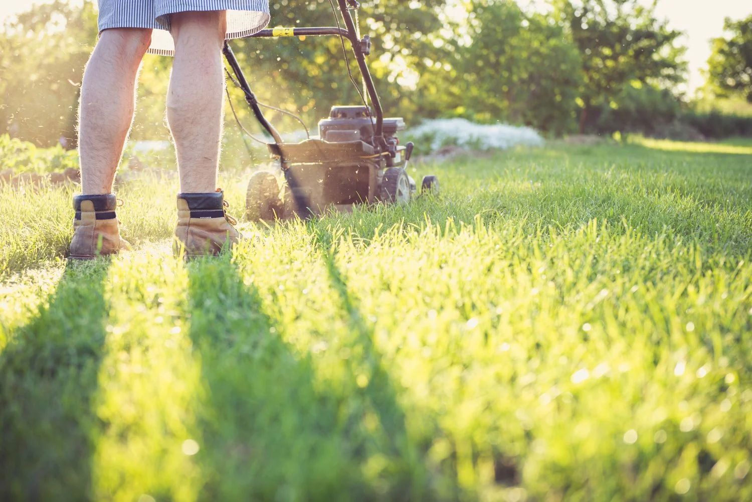 A lawn mower cutting grass